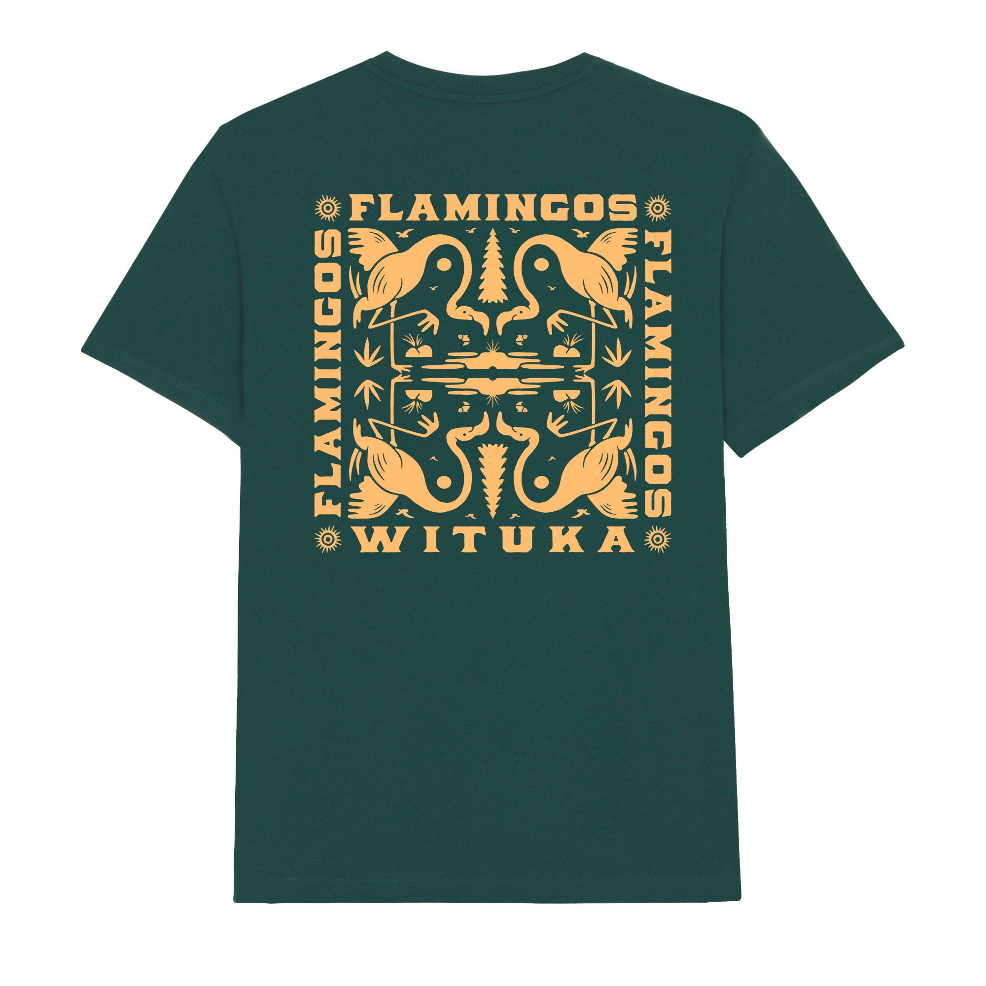 Flamingos